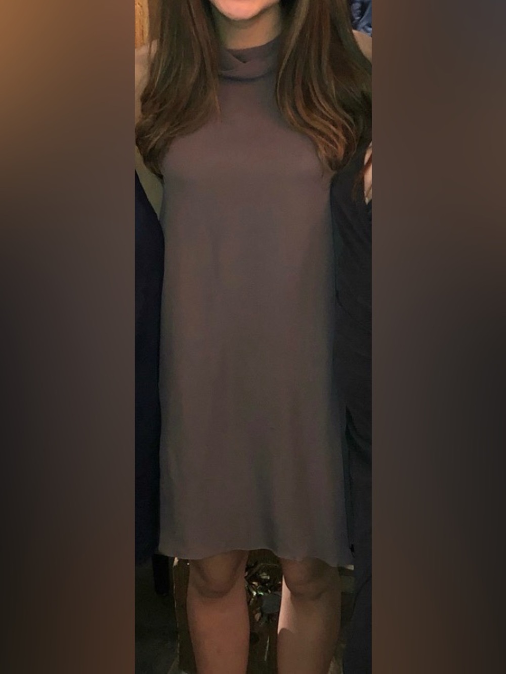 Aritzia Mock Neck Silk Dress